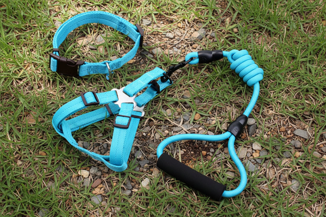 ComfortHarness Set – Nylon Hundegeschirr + Führleine (1,20 m)