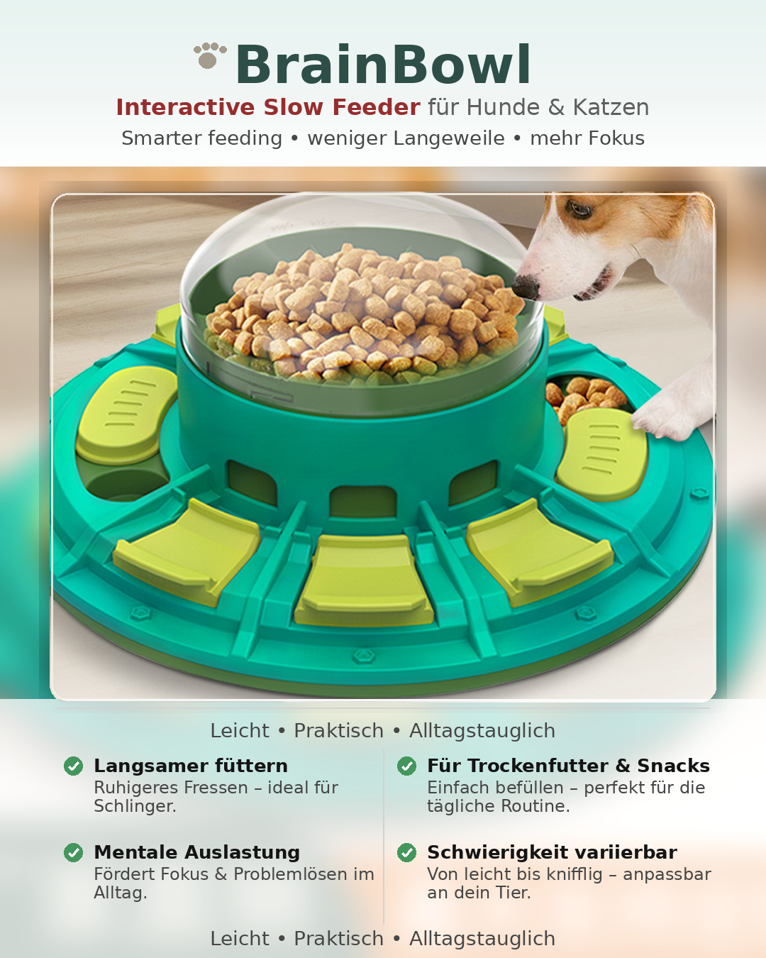 BrainBowl - Intelligenz und Futterspielzeug für Hund und Katze