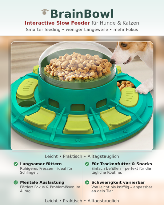 BrainBowl - Intelligenz und Futterspielzeug für Hund und Katze